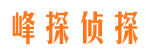 祁东外遇出轨调查取证